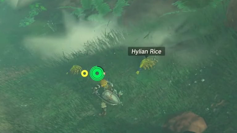 Where To Get Hylian Rice In Zelda Tears Of The Kingdom TOTK   Hylian Rice Where To Find Zelda Totk 768x432 