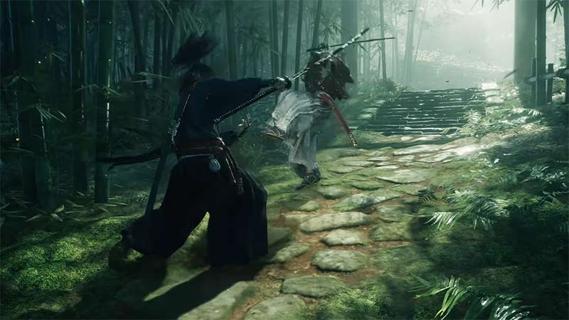rise of the ronin gameplay