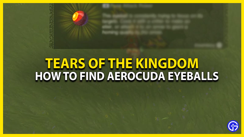 where to farm aerocuda eyeballs in zelda totk