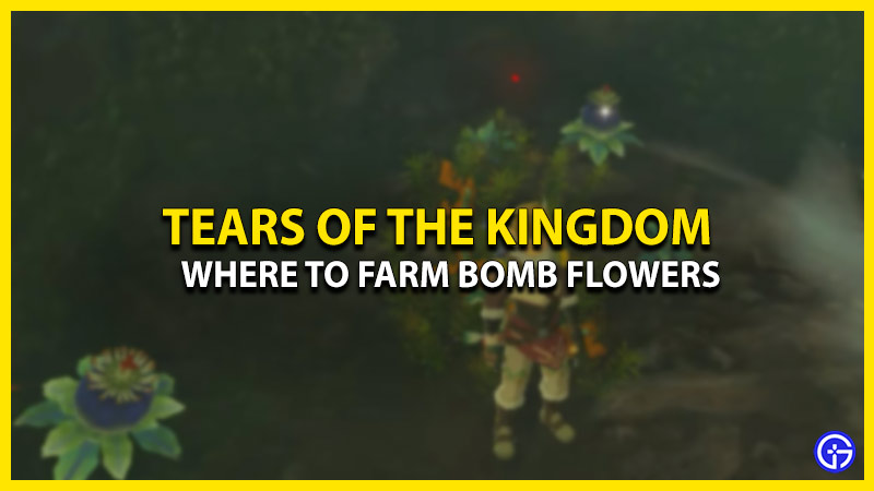 where-to-farm-bomb-flowers-in-zelda-tears-of-the-kingdom