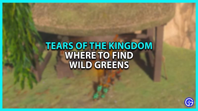 Where to Find Wild Greens in Zelda Tears of The Kingdom TOTK