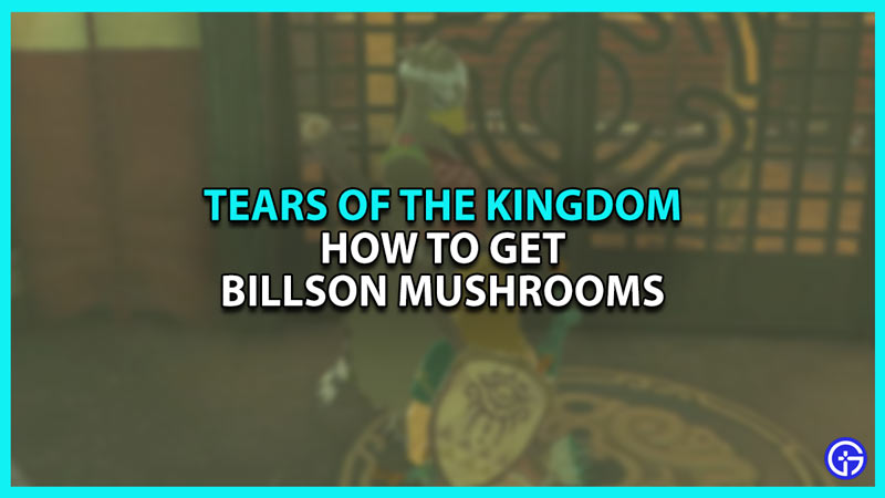 How to Get Billson Mushrooms in Zelda Tears of The Kingdom
