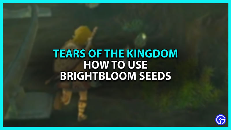 How to Use Brightbloom Seeds in Zelda Tears of the Kingdom