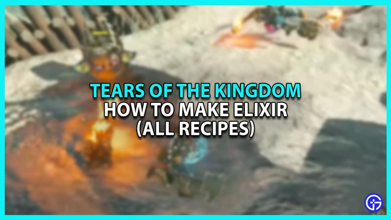 Zelda Tears of The Kingdom Elixirs guide