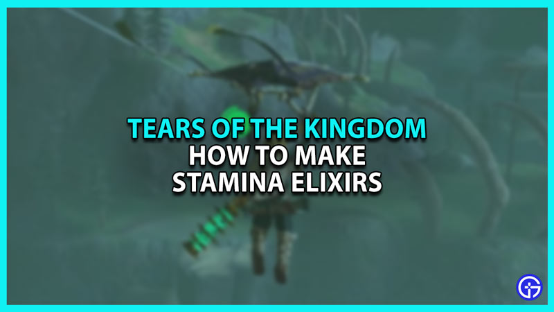 How to Make Stamina Elixirs in Zelda Tears of The Kingdom