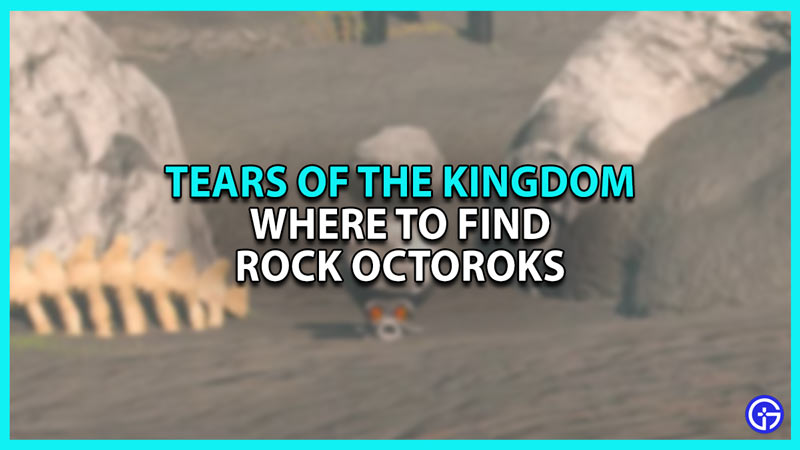 How to Find Rock Octoroks in Zelda Tears of the Kingdom TOTK