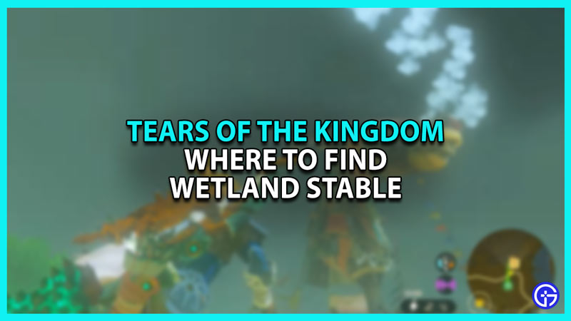 Where to find Wetland Stable location in Zelda Tears of the Kingdom TOTK