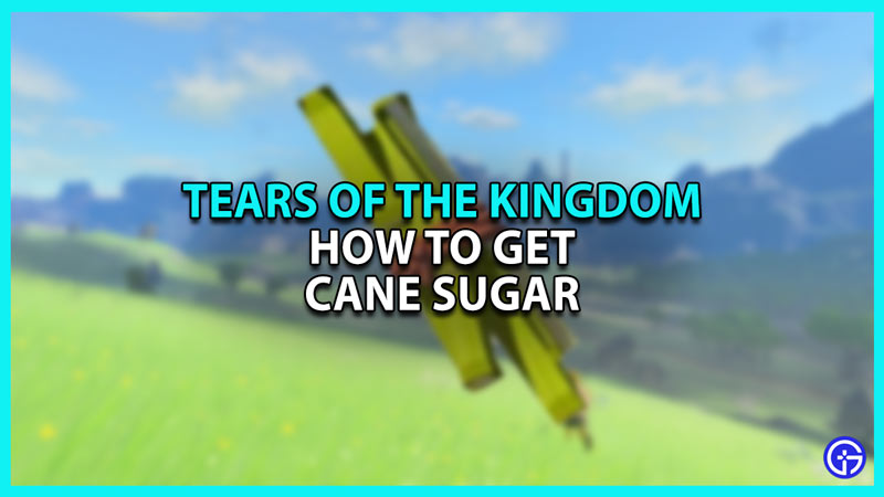 How to Get Cane Sugar in Zelda Tears of The Kingdom ToTK
