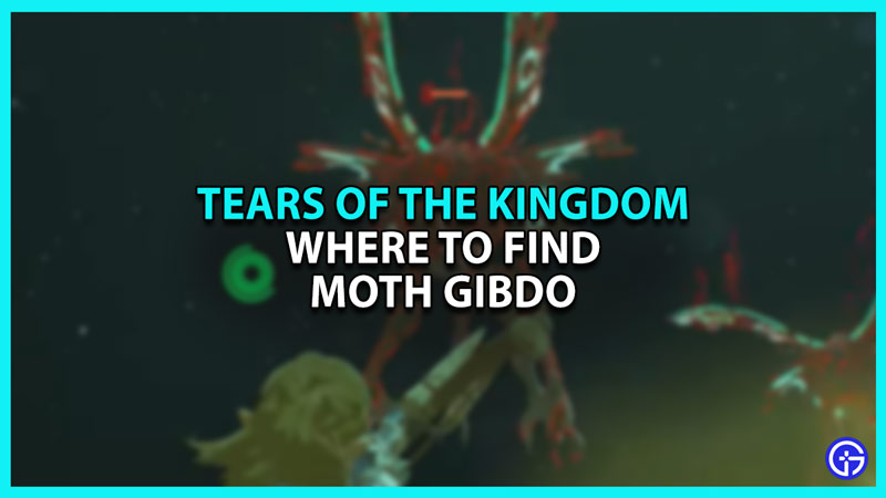 Moth Gibdo location in Zelda Tears of the Kingdom TOTK