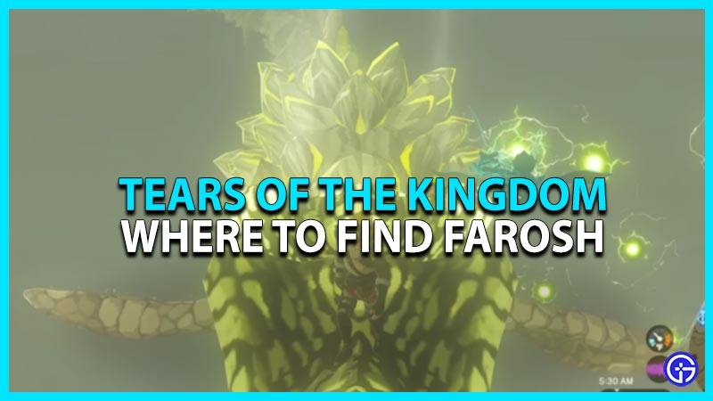 find farosh tears of the kingdom