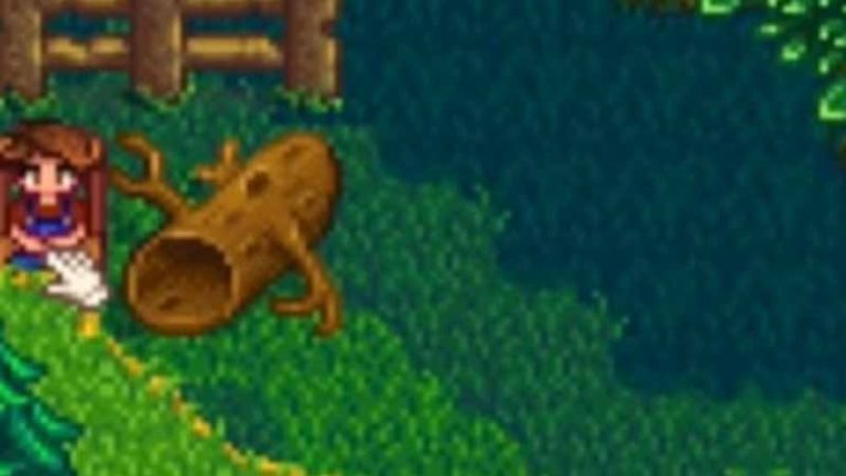 How To Unlock Secret Forest In Stardew Valley