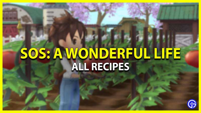 All Story of Seasons A Wonderful Life Recipes