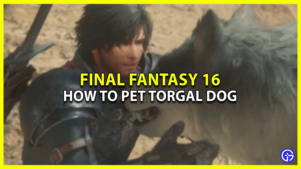 Can You Pet & Give Treats to Torgal in FF16 commands FFXVI