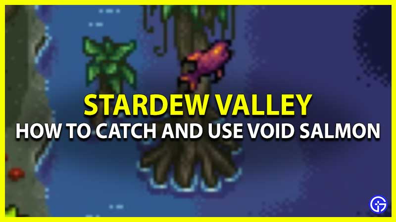 Catch And Use Void Salmon Stardew Valley