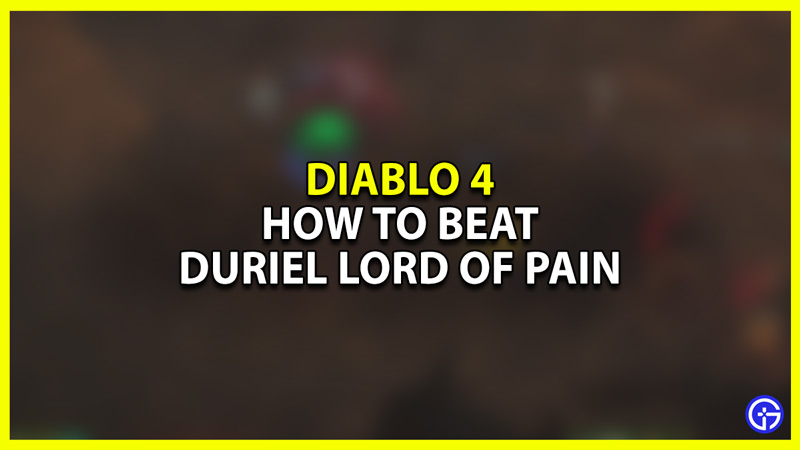 Diablo 4 Beat Duriel Lord of Pain