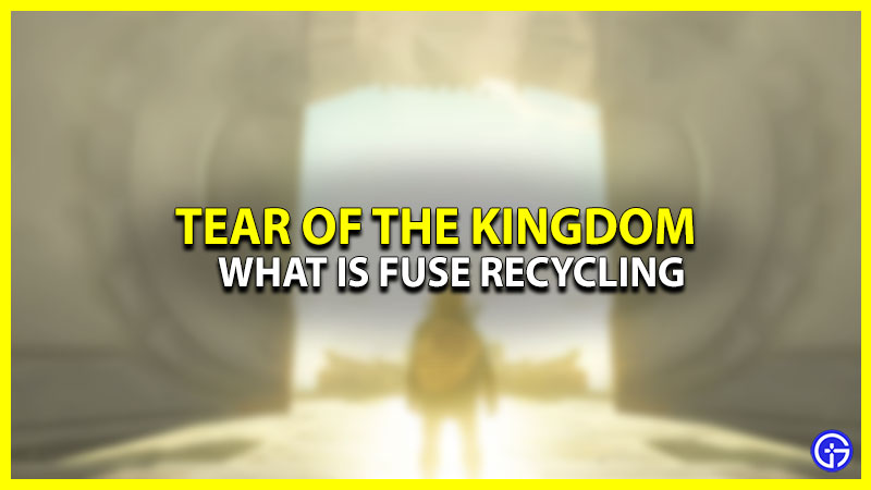 Fuse Recycling In Tears Of The Kingdom (TOTK)