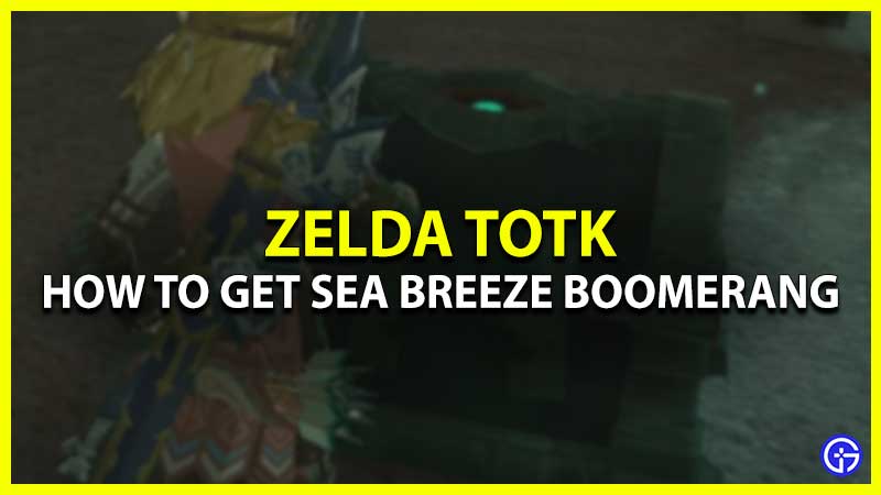 Get Sea Breeze Boomerang Zelda TOTK