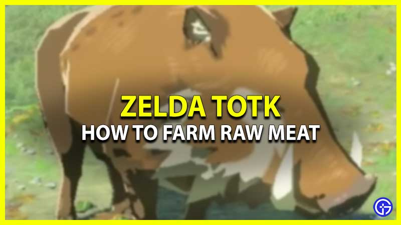 How To Farm Raw Meat Zelda TOTK