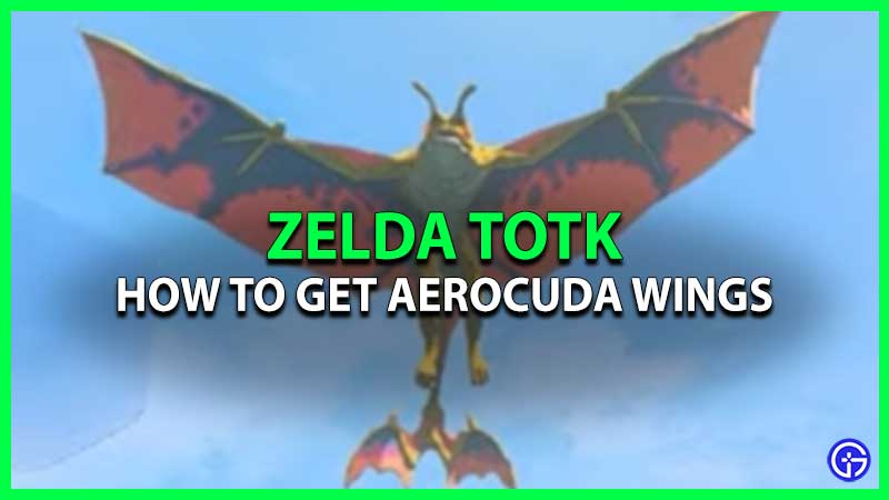 Get Aerocuda Wings Zelda TOTK