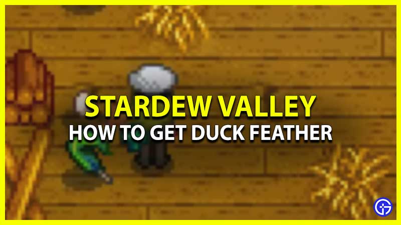 Get Duck Feather In Stardew Valley