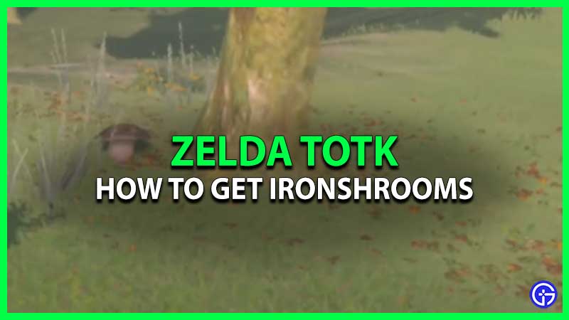 How To Get Ironshrooms Zelda TOTK