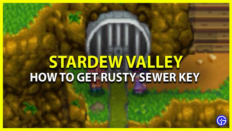 Get Rusty Sewer Key In Stardew Valley