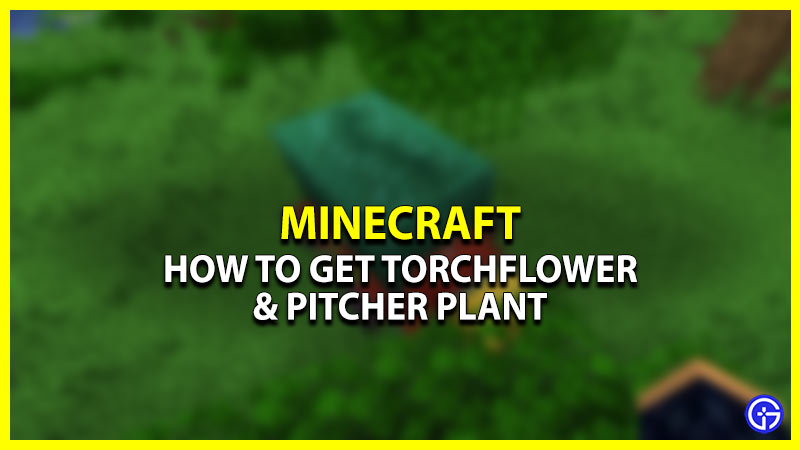 Minecraft Pitcher Plant & Torchflower
