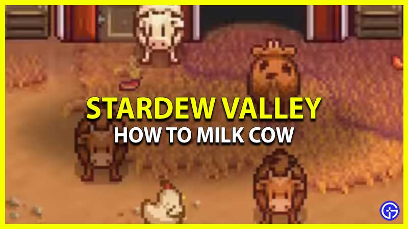 How To Milk Cow Stardew Valley