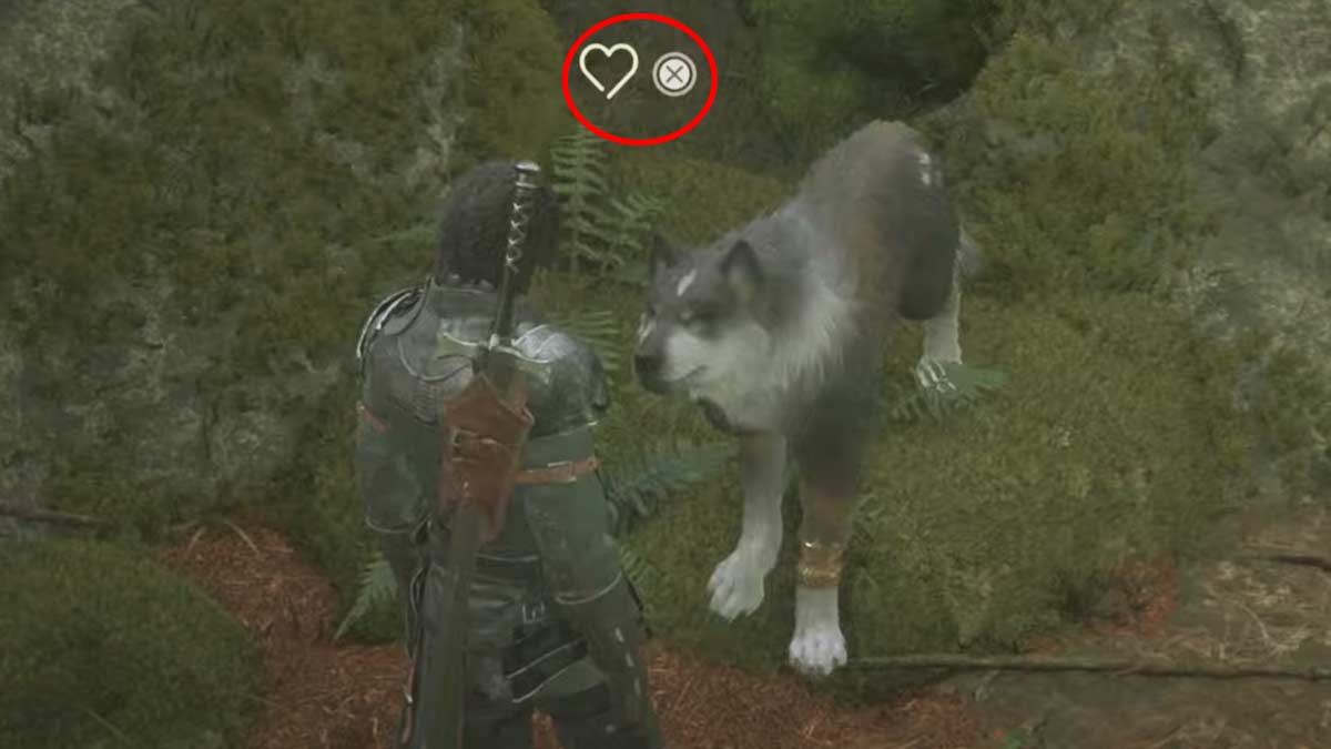 Controls to Pet Torgal Dog In Final Fantasy 16 FF16