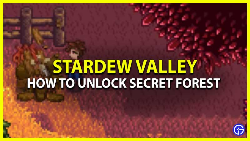 Unlock Secret Forest Stardew Valley