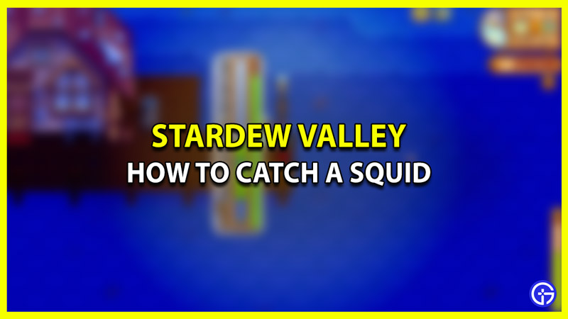 How to Catch a Squid in Stardew Valley