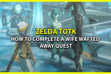 How to Complete A Wife Wafted Away Quest in TotK (Mei Location)