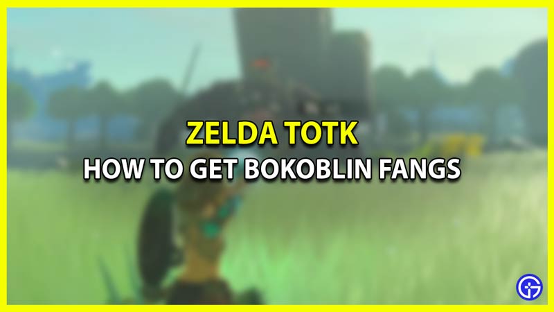 How to Farm & Use Bokoblin Fangs in Zelda Tears of the Kingdom