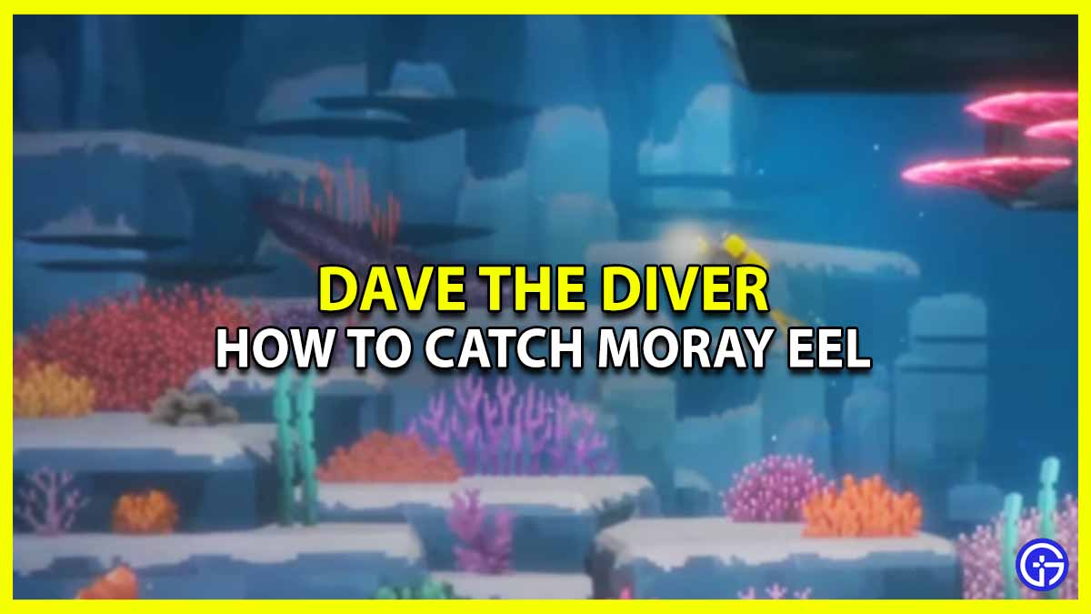 Moray Eel In Dave The Diver: How To Find & Catch