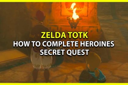 Tears Of The Kingdom The Heroines Secret Quest Guide totk