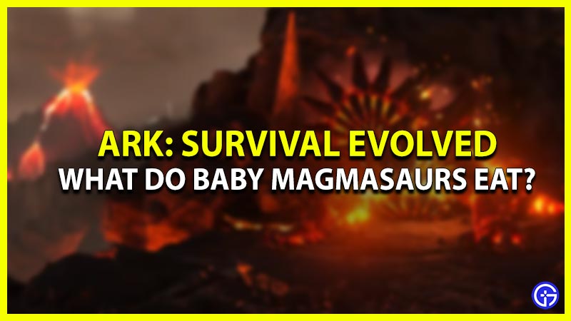 what do baby magmasaurs eat in ark survival evolved