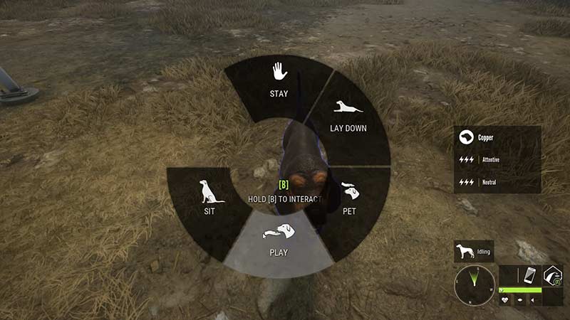 Use Command Wheel to use Bloodhound in the Hunter Call of the Wild