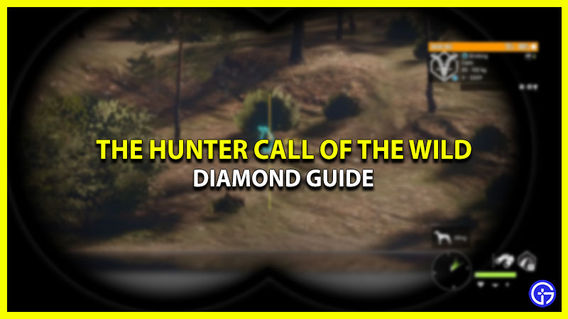 find diamond in the hunter call of the wild