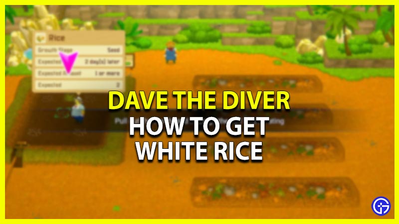 dave the diver how to get rice