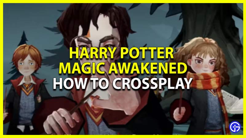 how to crossplay harry potter magic awakened