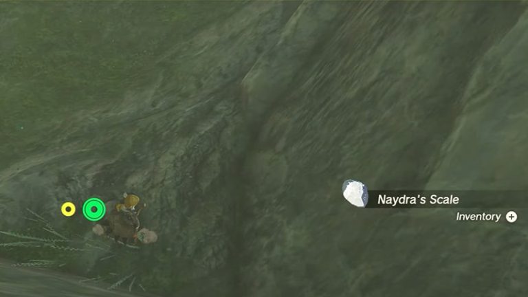 How To Get Naydra Scale & Claw In Zelda TOTK