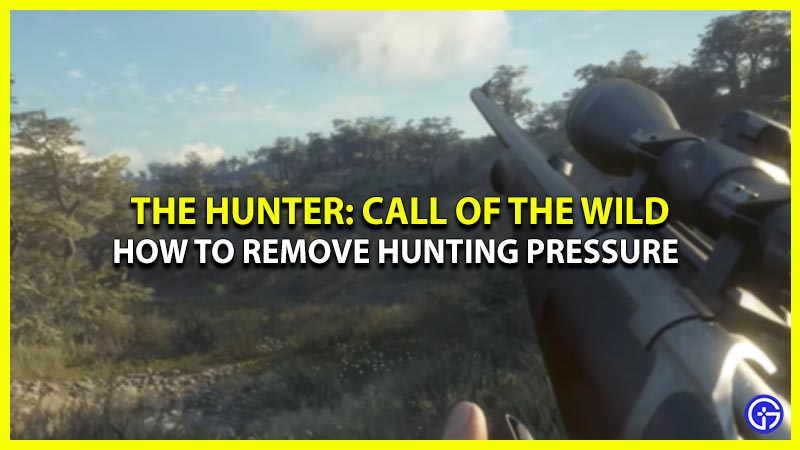 get rid of hunting pressure in the hunter call of the wild