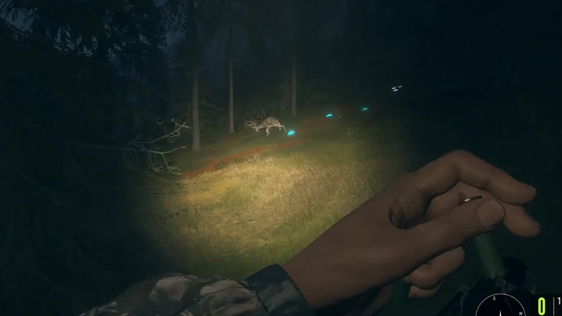 how to turn off flashlight in thehunter call of the wild