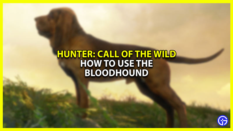 How to Use the Bloodhound in theHunter Call of the Wild