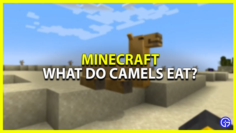 what do camels eat in minecraft 1.20