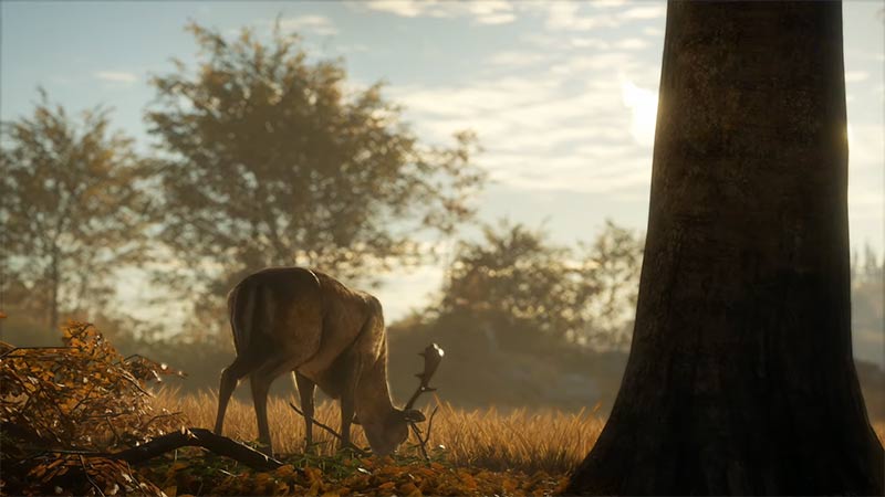 discover need zones in the hunter call of the wild