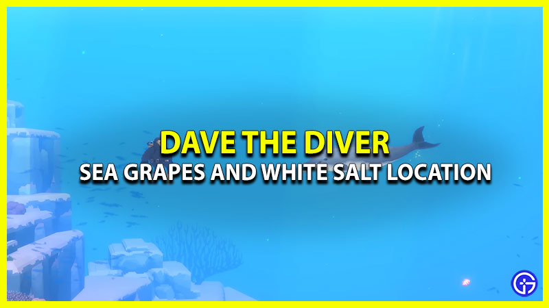find sea grapes and white salt dave the diver
