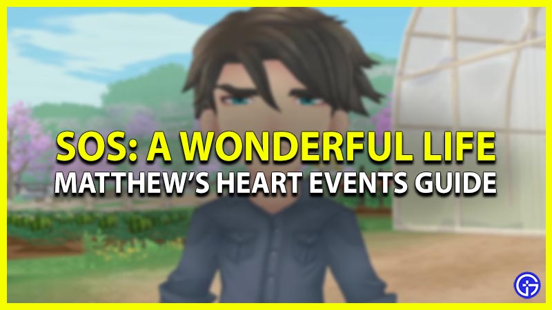 matthew's heart events guide SoS a wonderful life