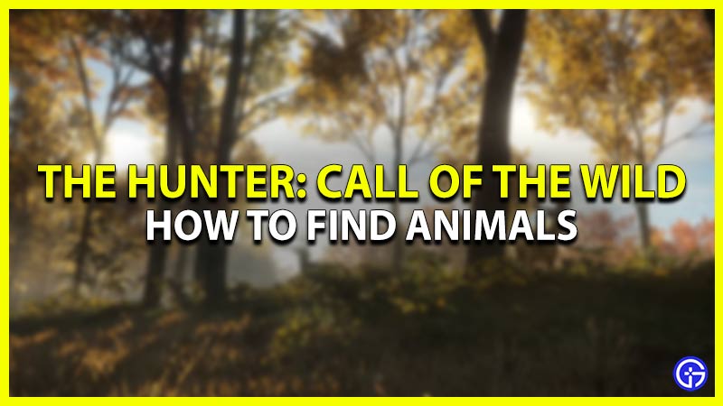 how to find animals in the hunter call of the wild