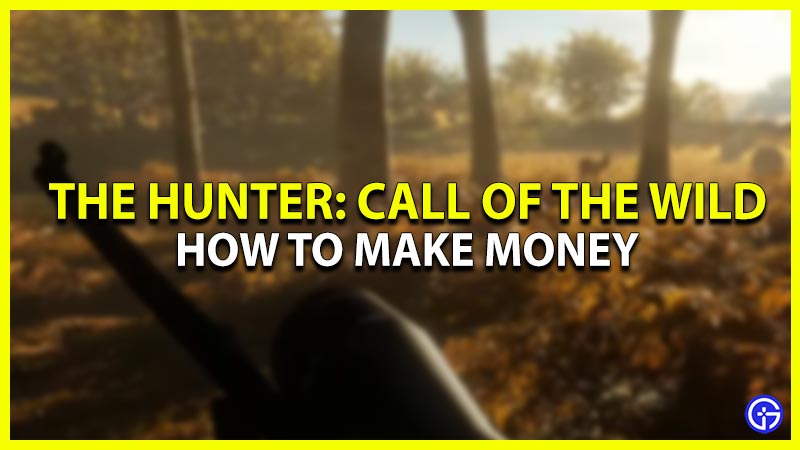 how to earn money in the hunter call of the wild